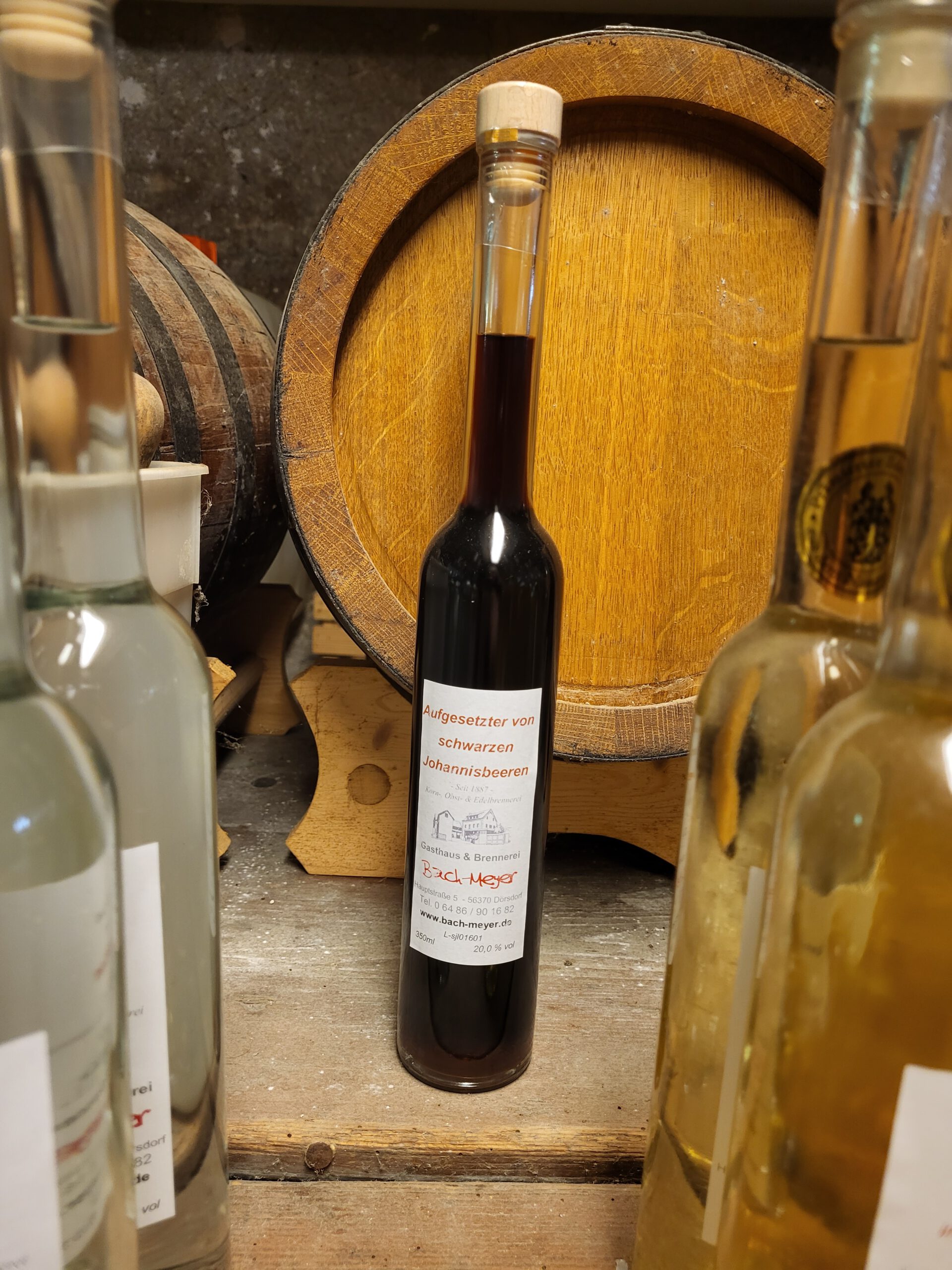 Aufgesetzter von schwarzen Johannisbeeren
